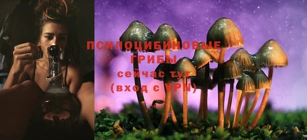 дживик Балабаново