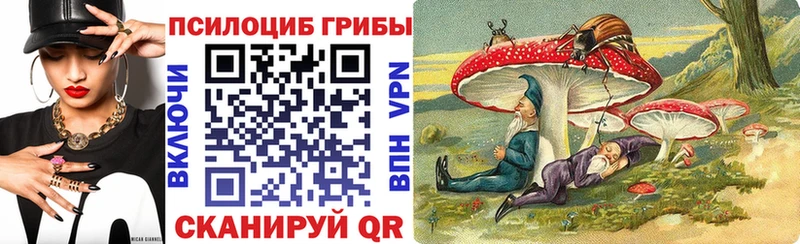 где можно купить Томмот Псилоцибиновые грибы Magic Shrooms